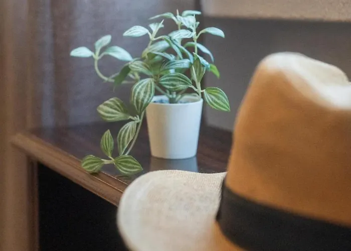 Namuri Comfortable Готель типу 